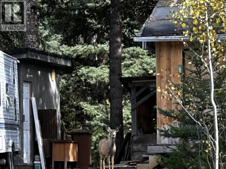 6281 Cotterpin Place, Deka Lake, BC, V0K 1X3 - 9