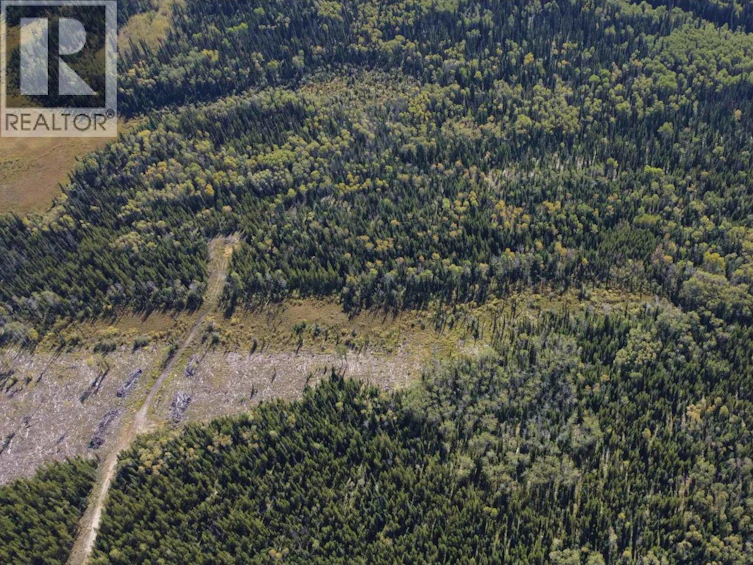 DL-4185 Kaykay Forest Service Road, Prince George, BC, V2K 5N2