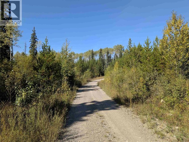 DL-4185 Kaykay Forest Service Road, Prince George, BC, V2K 5N2 - 14