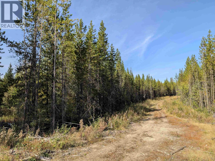 DL-4185 Kaykay Forest Service Road, Prince George, BC, V2K 5N2 - 10