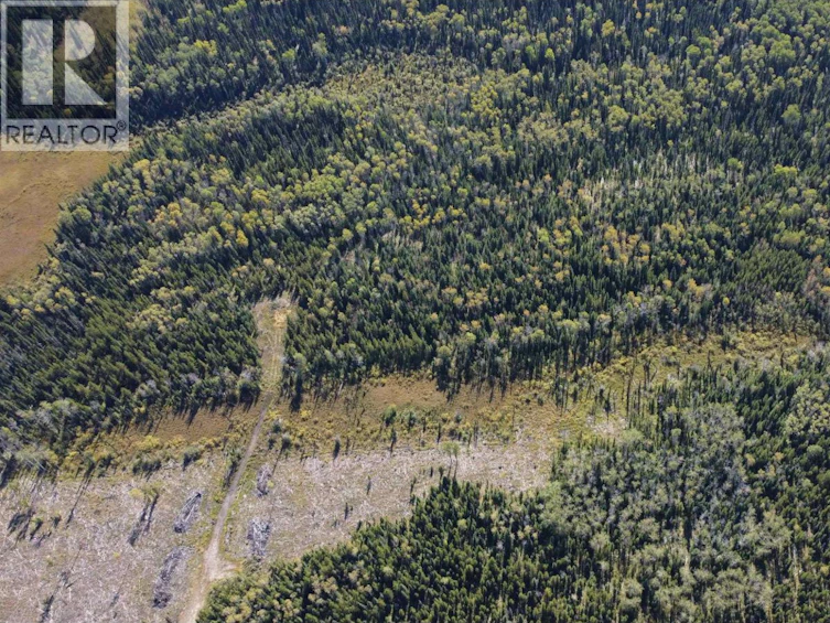 DL-4185 Kaykay Forest Service Road, Prince George, BC, V2K 5N2 - 6