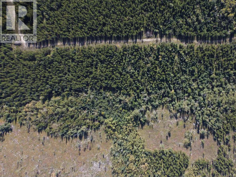 DL-4185 Kaykay Forest Service Road, Prince George, BC, V2K 5N2 - 5