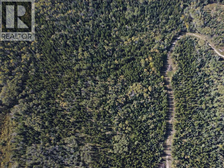DL-4185 Kaykay Forest Service Road, Prince George, BC, V2K 5N2 - 4