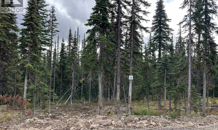 Pr. St Lt-15 Alpine Way