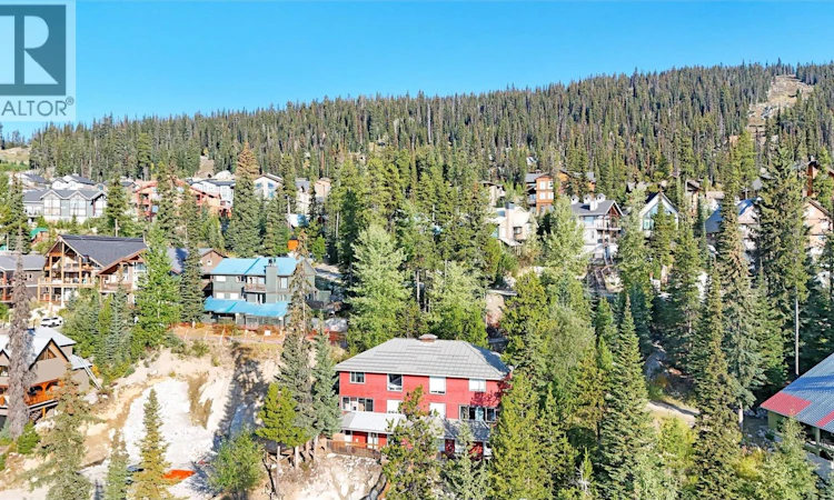 4890D Snowpines Road