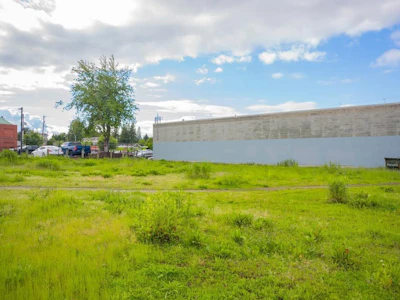33671 Mcdougall Avenue - 3