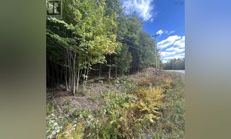 Lot 25-2 Conquerall Mills Road