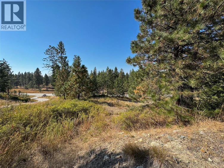 550 Peregrine Drive, Osoyoos, BC, V0H 1V6 - 12