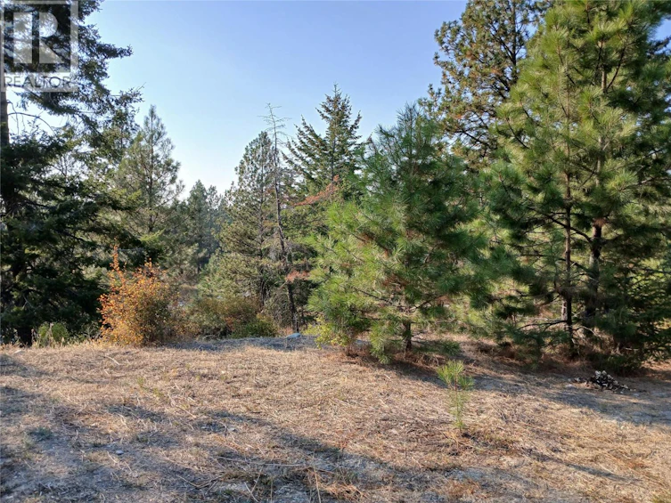 550 Peregrine Drive, Osoyoos, BC, V0H 1V6 - 3