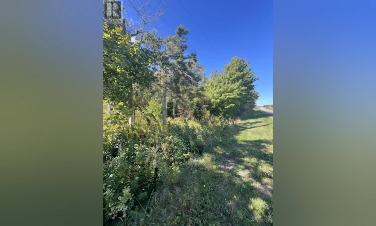 Lot-1479 Royalty Road North