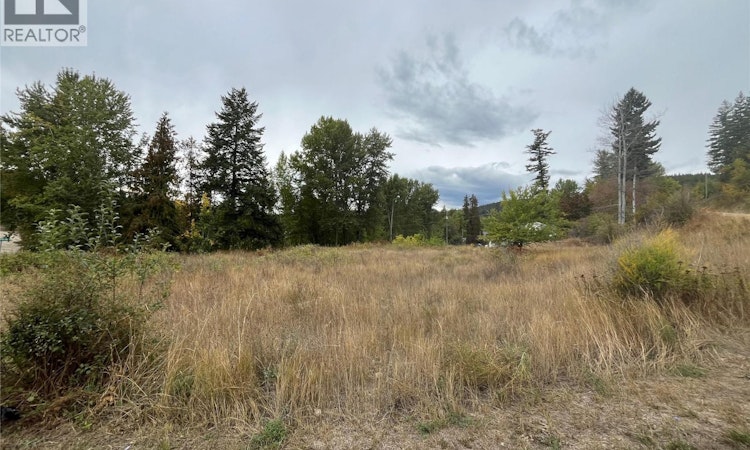 Lot 48-2481 Squilax Anglemont Road