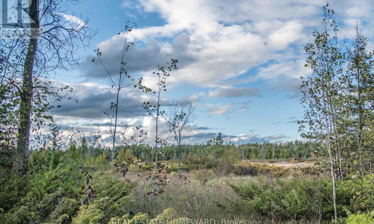 LOT-254 Mcguire Beach Road
