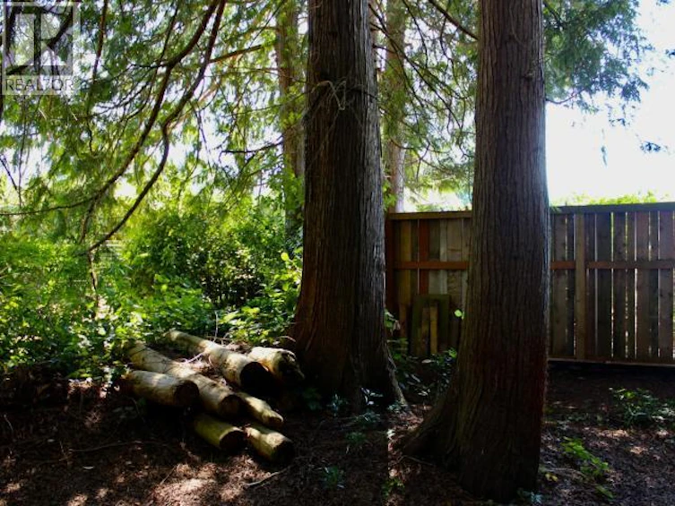6954 Hammond Street, Powell River, BC, V8A 1R4 - 42