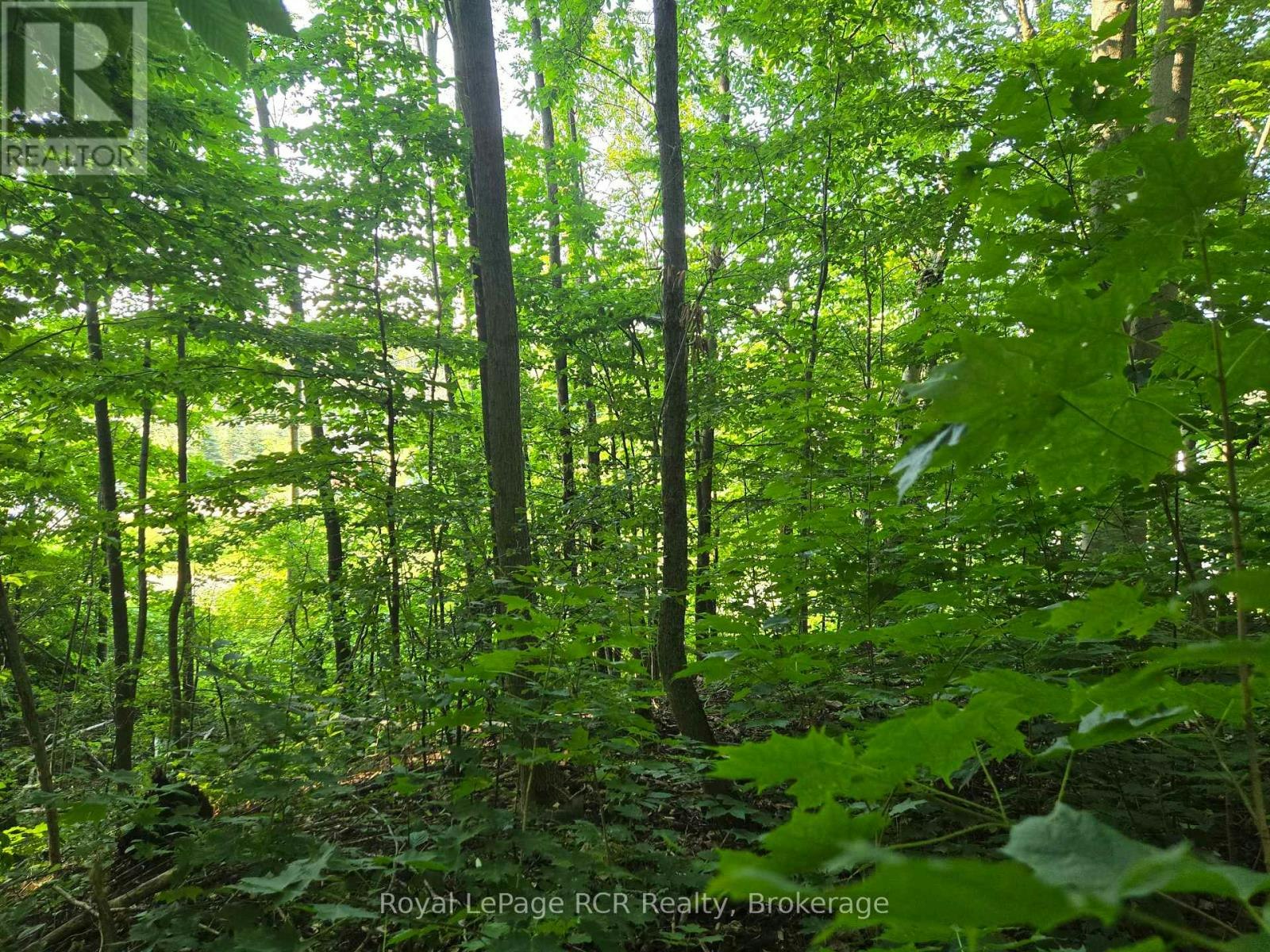 126 Old 26 Highway Highway, Meaford, ON, N4L 1W7