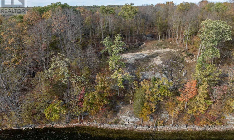 485 Stafford Lane