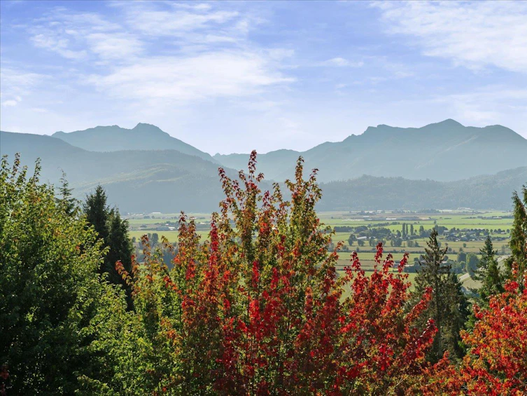 47220 Swallow Place, Little Mountain, Chilliwack, BC, V2P 7W9 - 20