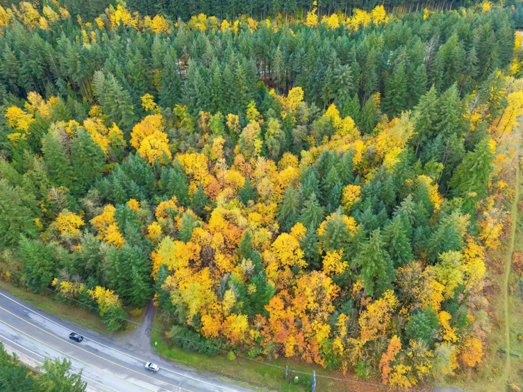 950 Old Hope Princeton Way, Hope, BC, V0X 1L4 - 20