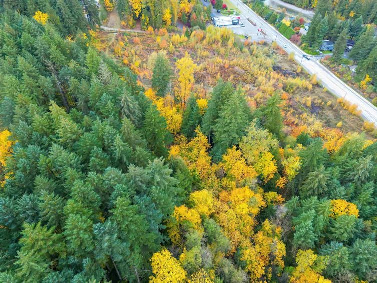 950 Old Hope Princeton Way, Hope, BC, V0X 1L4 - 14