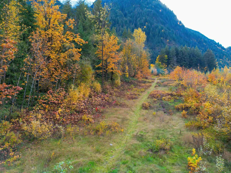 950 Old Hope Princeton Way, Hope, BC, V0X 1L4 - 23
