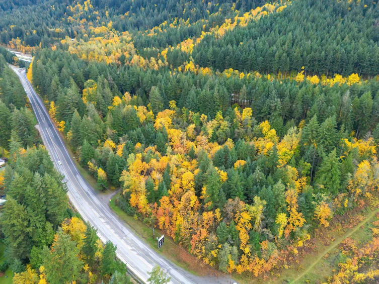 950 Old Hope Princeton Way, Hope, BC, V0X 1L4 - 4