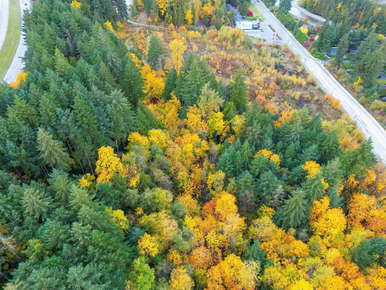 950 Old Hope Princeton Way, Hope, BC, V0X 1L4 - 15