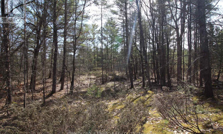 LOT-15 Concession 9
