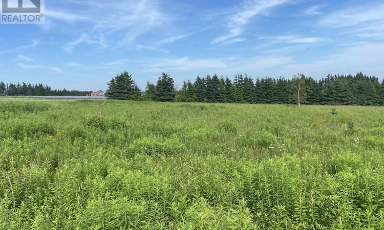 Lot-3 Cory's Lane