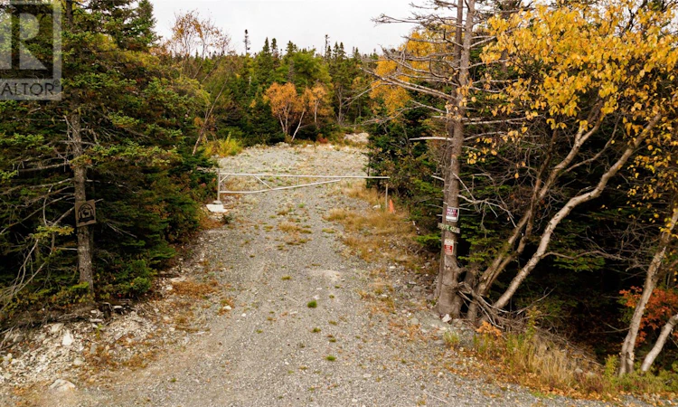 X Cape Pond Road