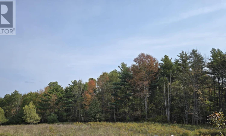 Lot-1A Lower Branch Road