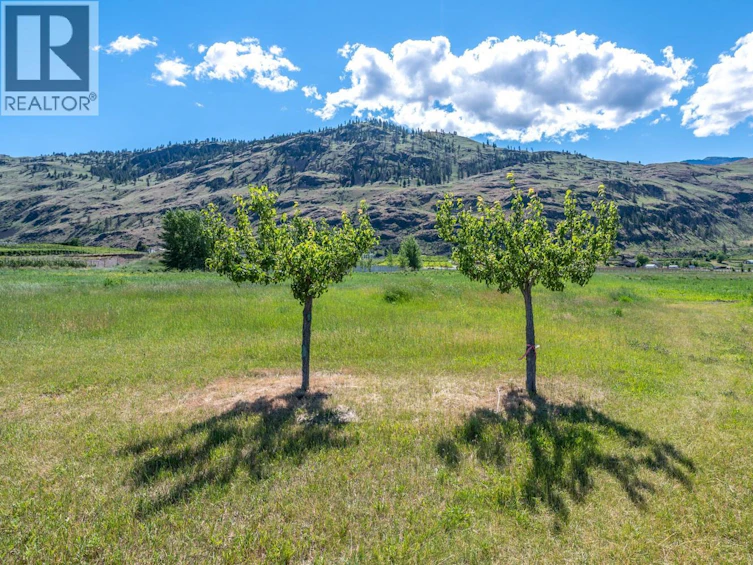 294 18 Road Road, Oliver, BC, V0H 1T1 - 39
