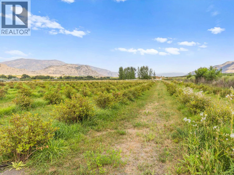 294 18 Road Road, Oliver, BC, V0H 1T1 - 50