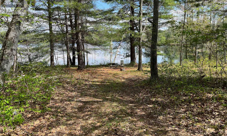 LOT-15 Sandy Shores Trail