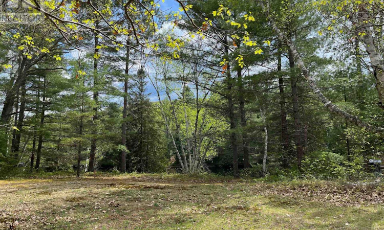 LOT-37 Sandy Shores Trail