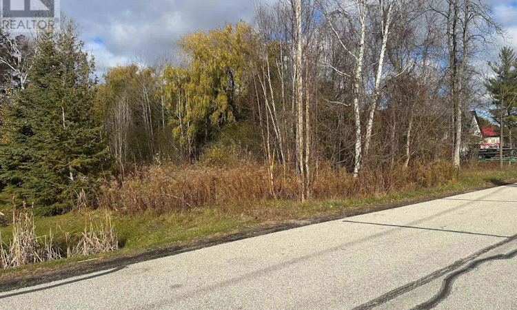 LOT-168 Dorothy Avenue