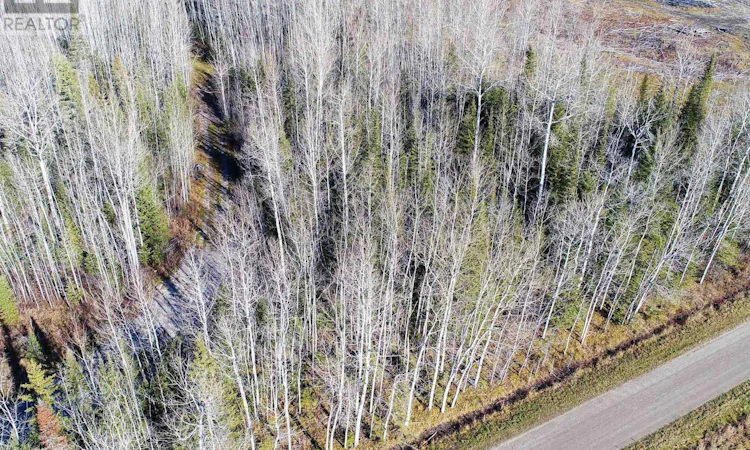 PT-4 Cabin Road