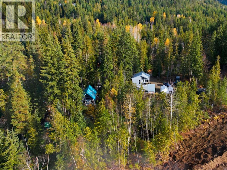 7636 Mountain Drive, Anglemont, BC, V0E 1M8 - 18