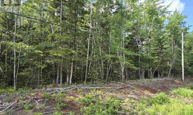 Lot-1 Conquerall Road