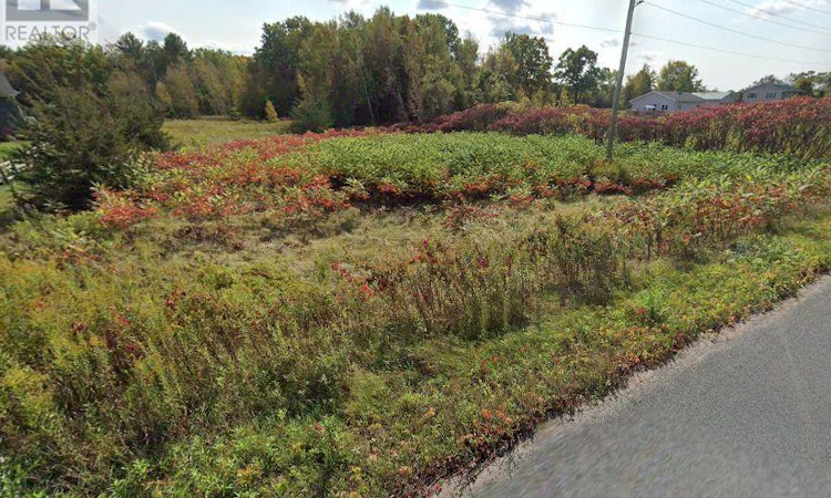 LOT-14 Trent River Road