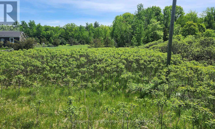 LOT-14 Trent River Road