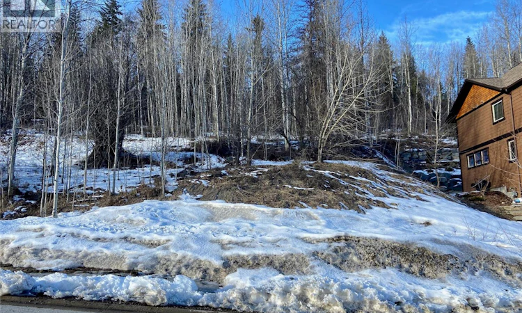 1018 Silvertip Road