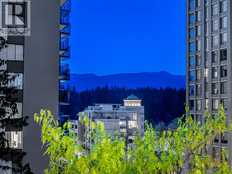 602-1888 Alberni Street, Vancouver, BC, V6G 1B3 - 30