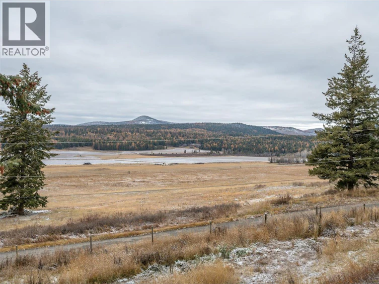 1414 Kelly Road, Bridesville, BC, V0H 1B0 - 53