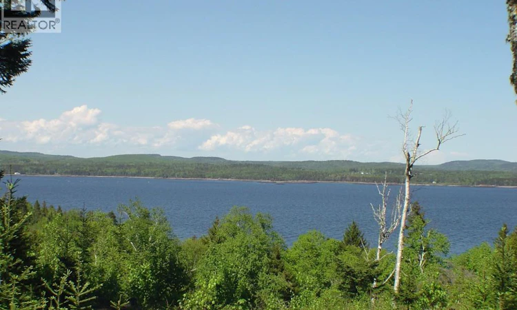 LOT-38 Kilmarnock Head
