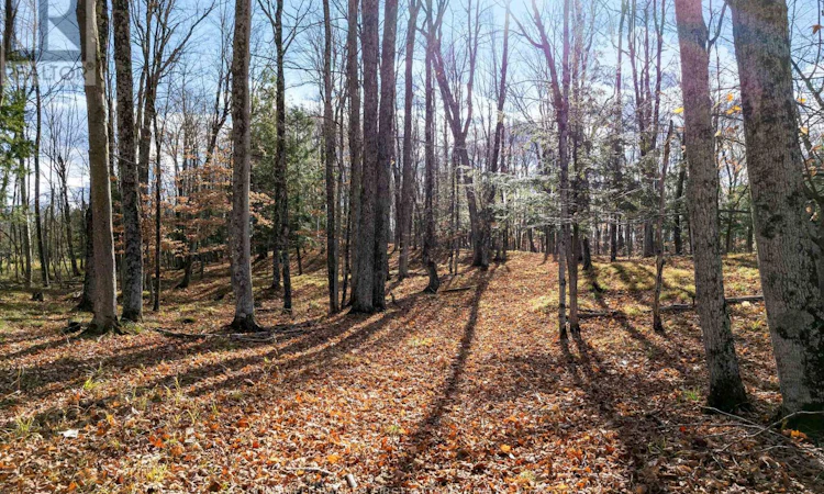 PT 2-00 Herron Mills Road