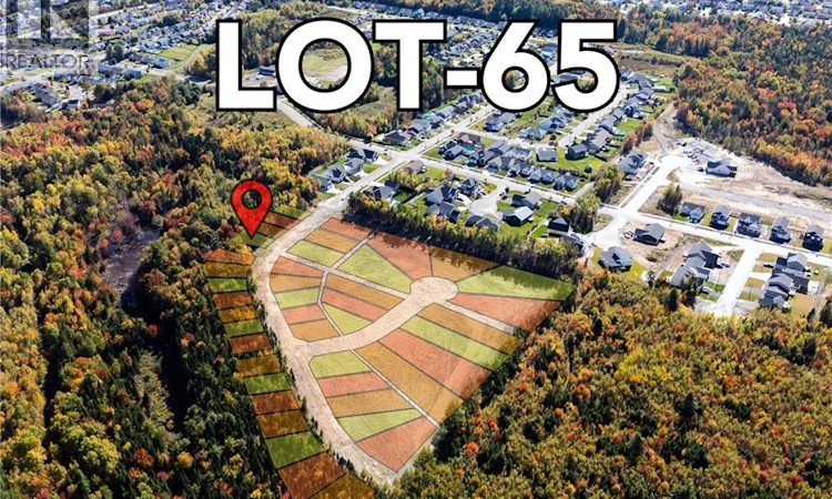 65 Mitchell Wayne Drive