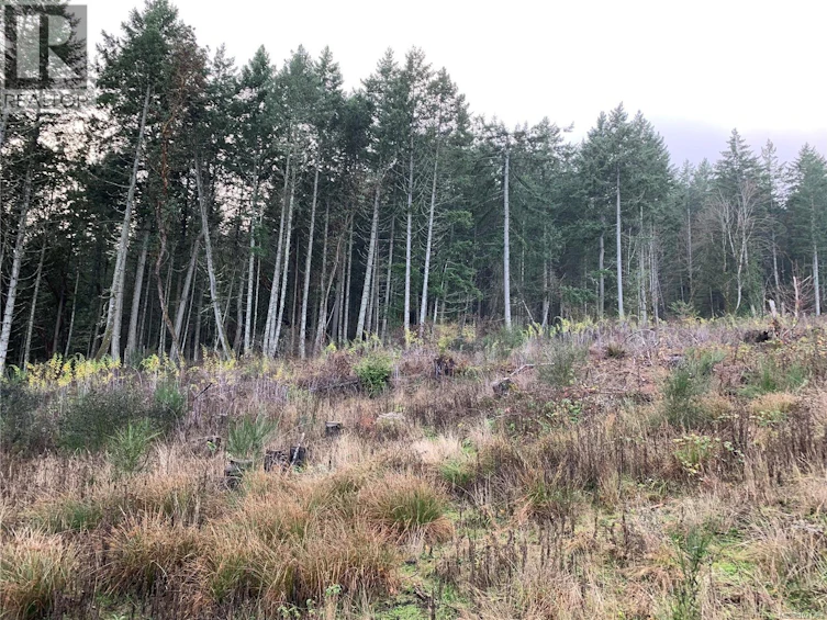 Lot-6 Otters Close, Duncan, BC, V9L 5Y3 - 5