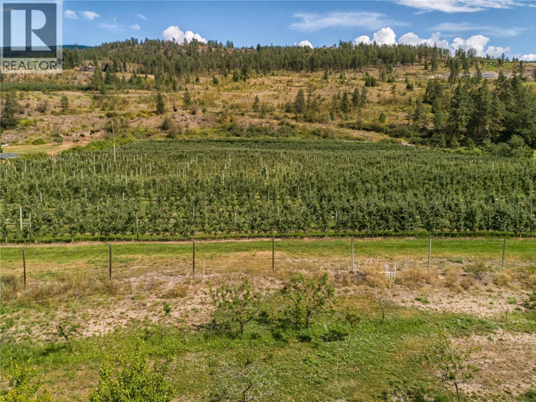 Lot-15490 North Carrs Landing Road, Lake Country, BC, V4V 1C4 - 9