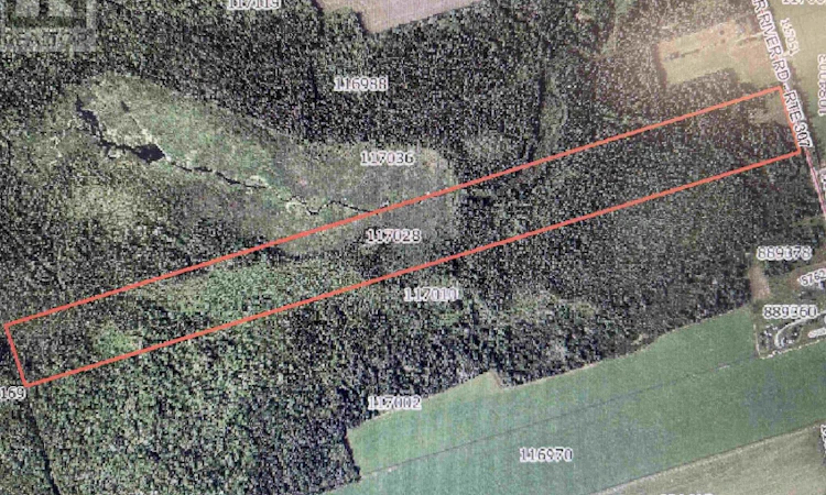 479 Bear River Road