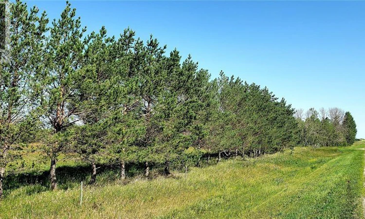 251 Agripark Road