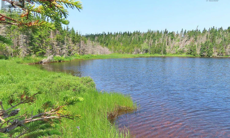 Lot-31 Belfry Lake Road